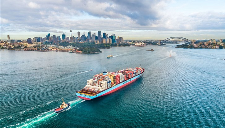 貨代要涼涼？航運(yùn)公司正建立客戶數(shù)據(jù)庫，以徹底甩開代理商！