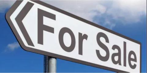 瞠目結(jié)舌！巴拿馬型船市場價暴漲200%