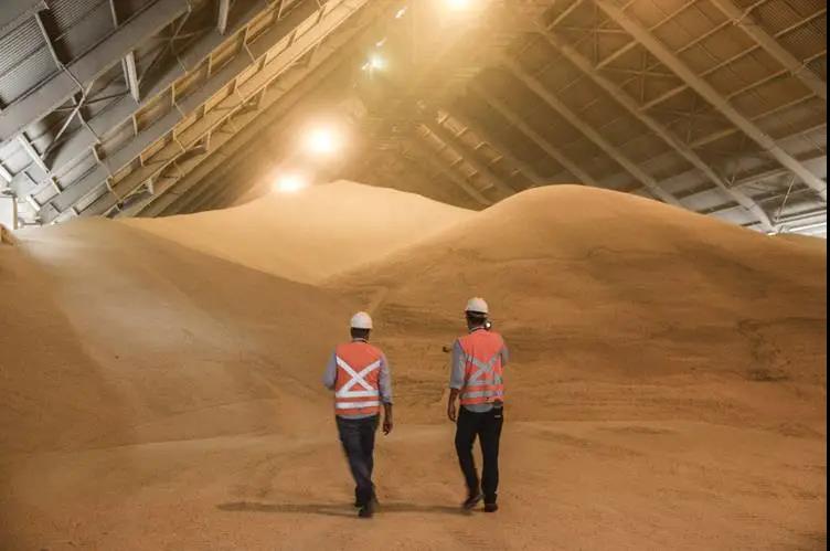 "噠! 噠! 噠!" 這種船就像印鈔機(jī), 每天吐出3萬(wàn)美金! 印錢能力翻著滾漲! ...關(guān)鍵時(shí)還不忘拉一把"窮親戚"