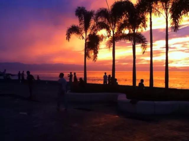 WSC：FMC有權(quán)進(jìn)行任何調(diào)查，但運(yùn)營(yíng)商已傾其所有