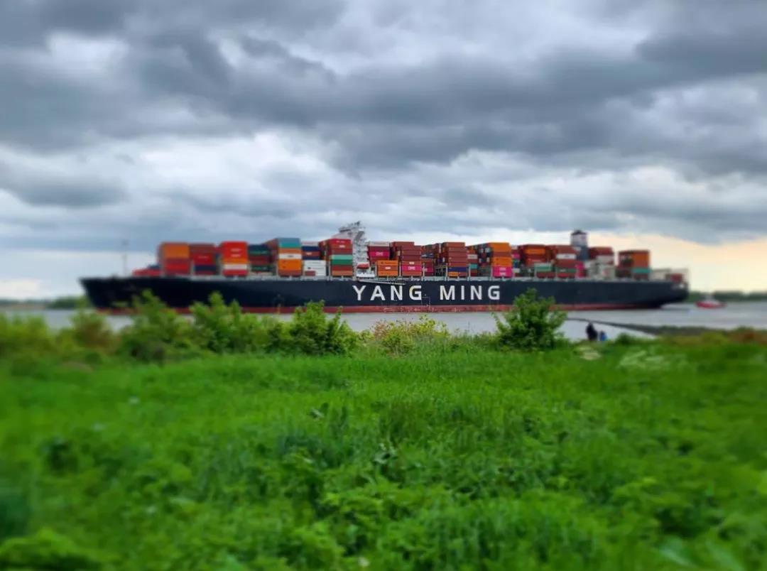 陽明海運否認訂購24,000TEU集裝箱船 