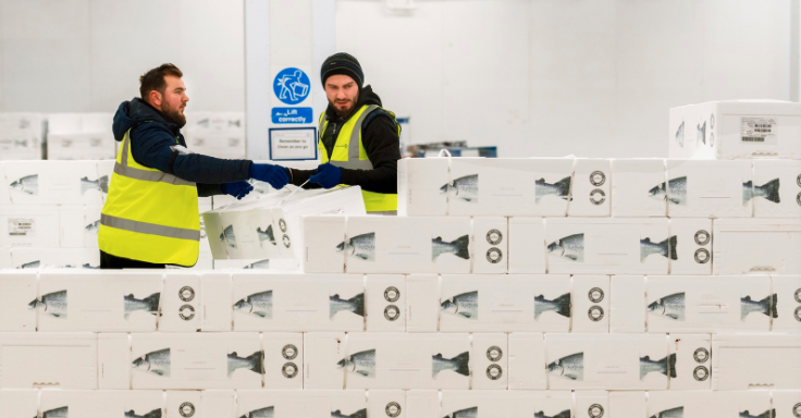 德迅又收購(gòu)一家貨運(yùn)代理