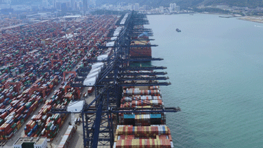 鹽田國際全面恢復(fù)生產(chǎn)！7月國際航線密度再升級