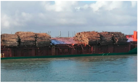 提醒！原木大量散落，該港口暫時(shí)關(guān)閉！