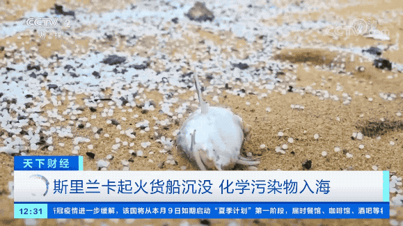 嚴重海難，貨船沉沒！81個危險品集裝箱入海！影響或持續(xù)十年