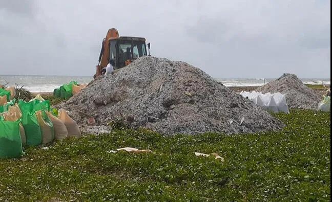 集裝箱船大火造成斯里蘭卡海灘嚴(yán)重污染，船東面臨上百萬(wàn)美元索賠  