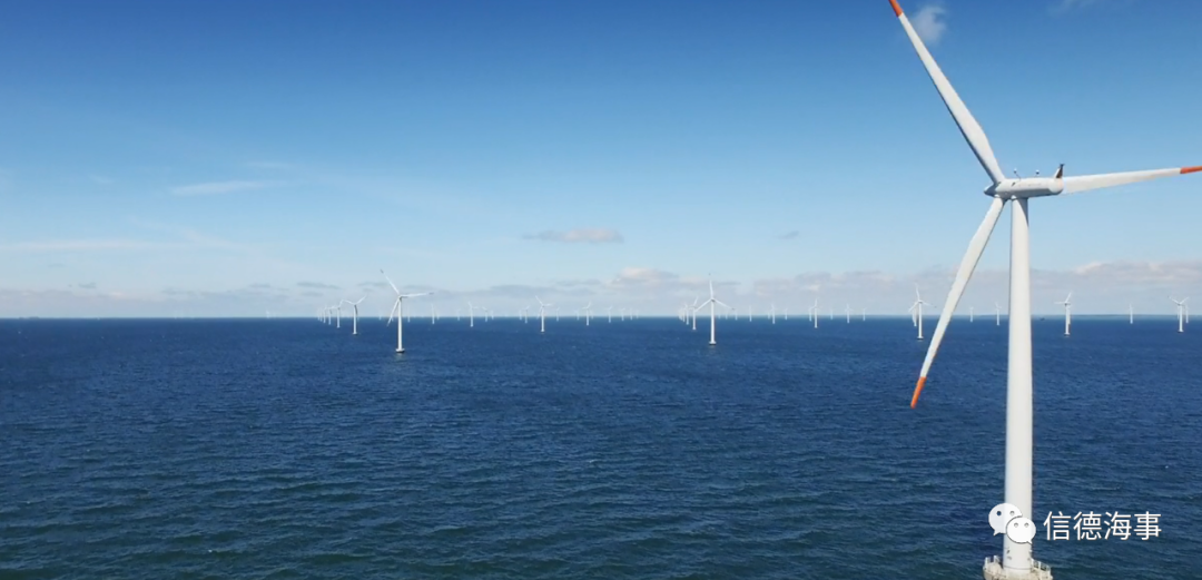 猝不及防！一船東轉(zhuǎn)型出清船隊，賣出37艘后運費卻大漲，怎么辦？