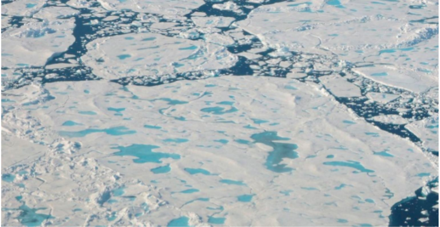 MSC重申：即使蘇伊士運(yùn)河關(guān)閉，也不考慮北極航道