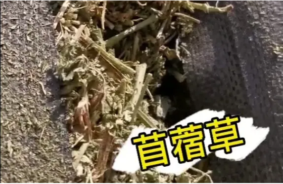 貨代貨主注意！海關(guān)嚴(yán)查，嚴(yán)禁空箱夾帶！