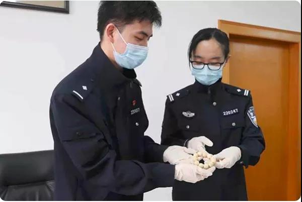 警惕！走私64件象牙制品 12名中國籍船員被立案調(diào)查  