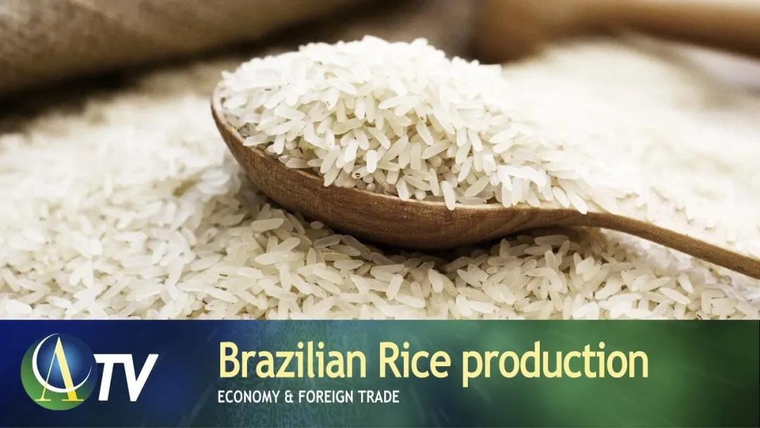 巴西物價暴漲！貨幣嚴(yán)重貶值！疫情嚴(yán)峻，鄰國邊境關(guān)閉…