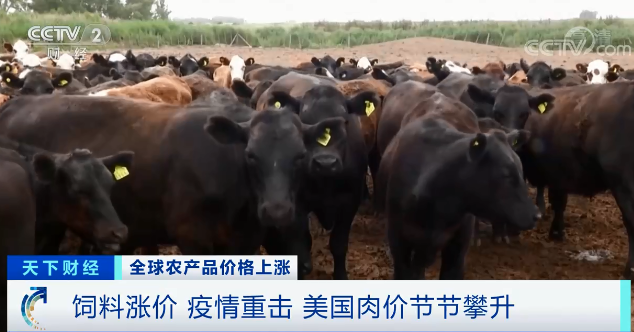 高粱大漲82.1％、玉米大漲45.5%！全球糧食危機風(fēng)險加劇