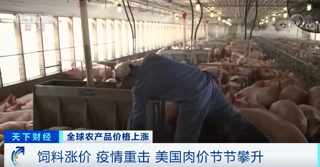 高粱大漲82.1％、玉米大漲45.5%！全球糧食危機風(fēng)險加劇