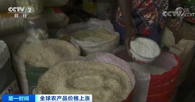 高粱大漲82.1％、玉米大漲45.5%！全球糧食危機風(fēng)險加劇