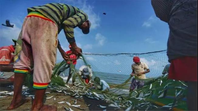 1000個(gè)集裝箱被拒絕接收！