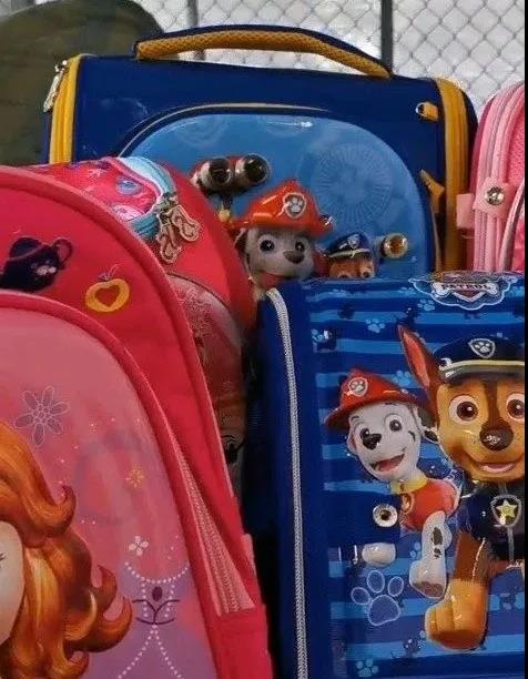 海關(guān)嚴(yán)打侵權(quán)！這些產(chǎn)品出口被查獲