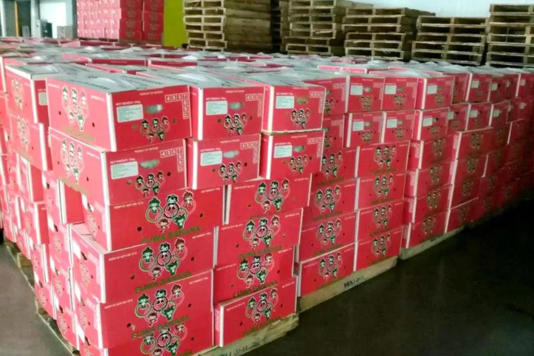 剛剛，多個(gè)集裝箱，5300多萬貨物在洛杉磯港口被查獲！