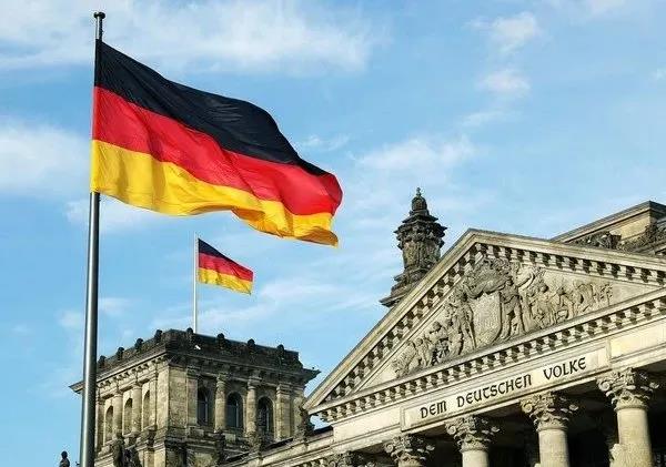 英國脫歐后遺癥來了！豬沒人殺，菜沒人摘，貨車沒人開，牛奶只能倒掉了...