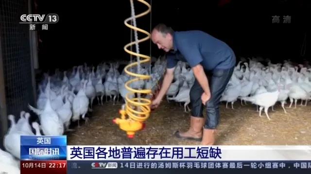 大量貨物堆積港口，這些地方深陷供應鏈危機