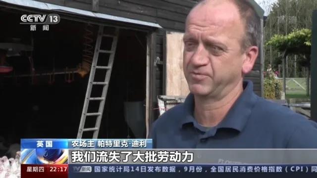 大量貨物堆積港口，這些地方深陷供應鏈危機