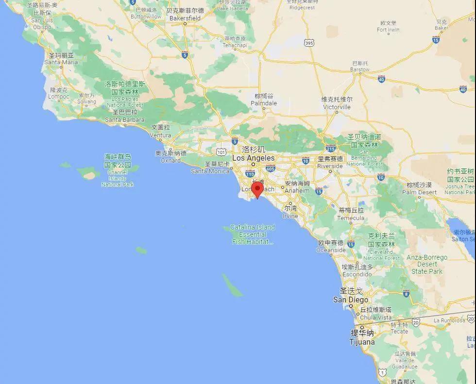 美國物流公司：倆港只有7臺起重機在動，塞船比雷曼危機還糟