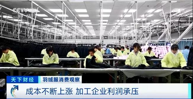 漲漲漲！這種原材料，50萬元一噸！漲幅高達102%！成本不斷上漲，加工企業(yè)利潤承壓！