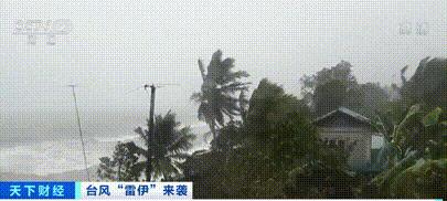 重磅突發(fā)！169人死亡！這個(gè)國家一地進(jìn)入災(zāi)難狀態(tài)，港口停止！