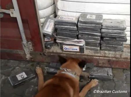 巴西已成“毒窩”！MSC被嚇跑，無限期停止該國多式聯(lián)運！...船舶注意防范！