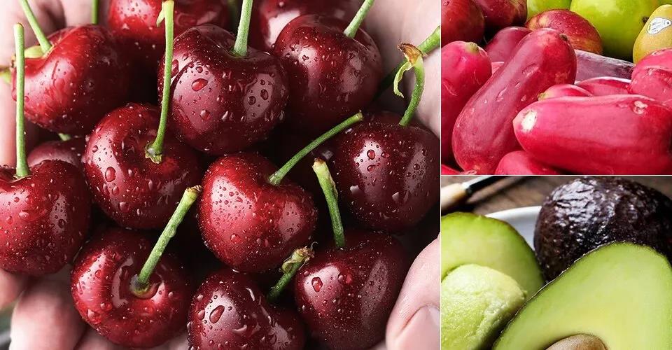 去墨西哥、智利、阿根廷等南美國(guó)家的干凍柜運(yùn)費(fèi)只要8千多美金！什么是干凍柜？