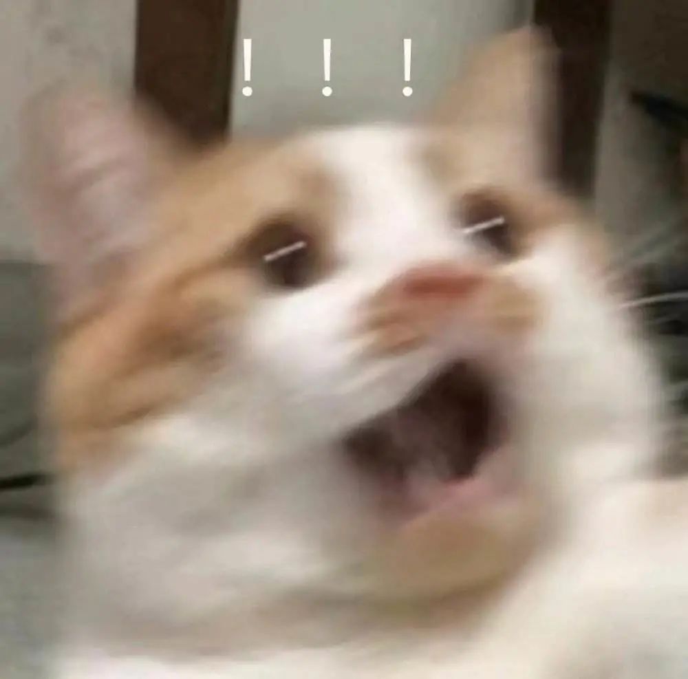 細(xì)思極恐！人體唾液、120斤頭發(fā)…你永遠(yuǎn)想不到海關(guān)每天能截獲到啥！