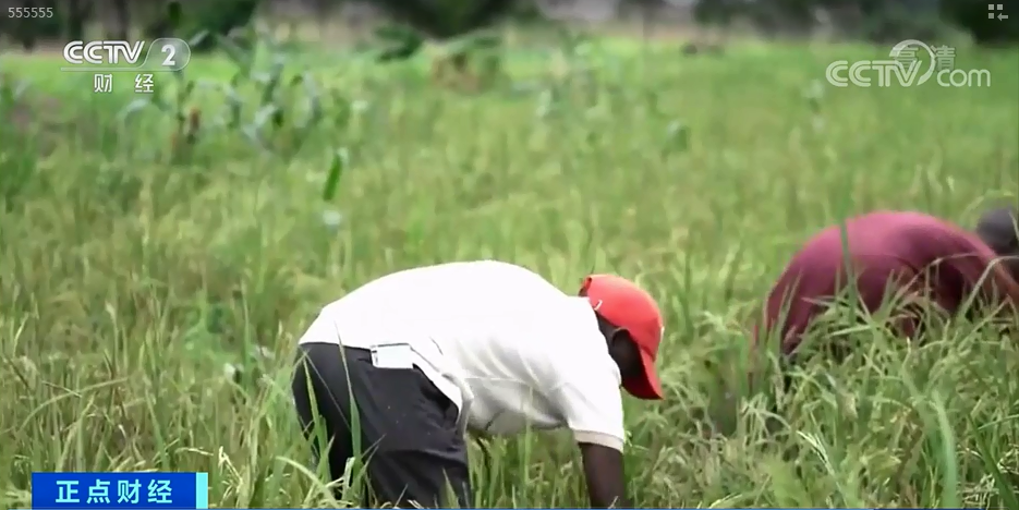 緊急！只夠3天！大關(guān)停，幾十家企業(yè)受影響！