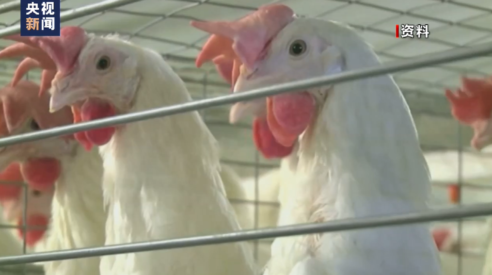 多國遭遇重大危機(jī)