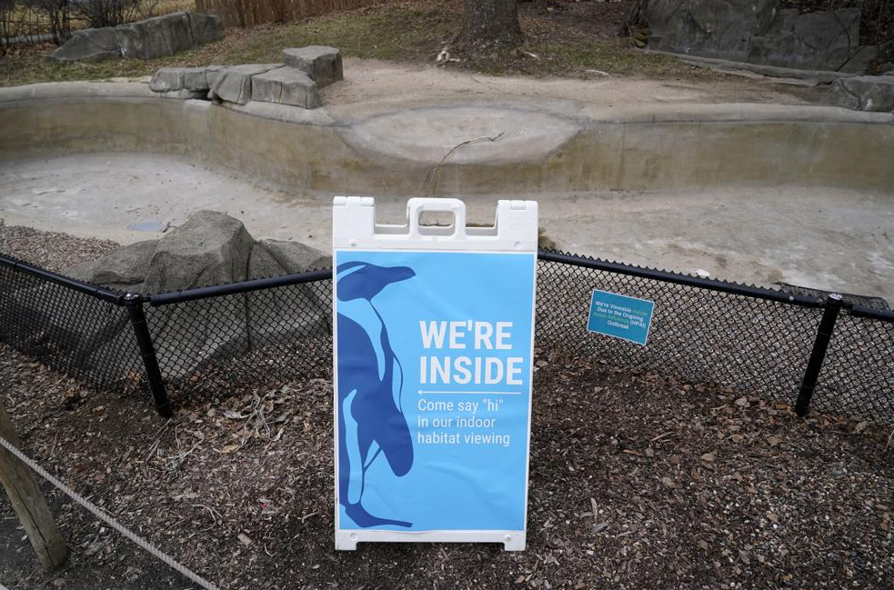 多國遭遇重大危機(jī)