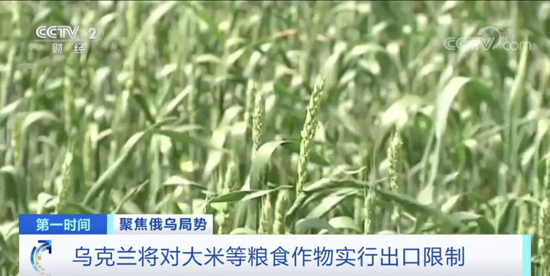 緊急！俄羅斯最大銀行又出事，一半的家庭儲蓄都存在這里！