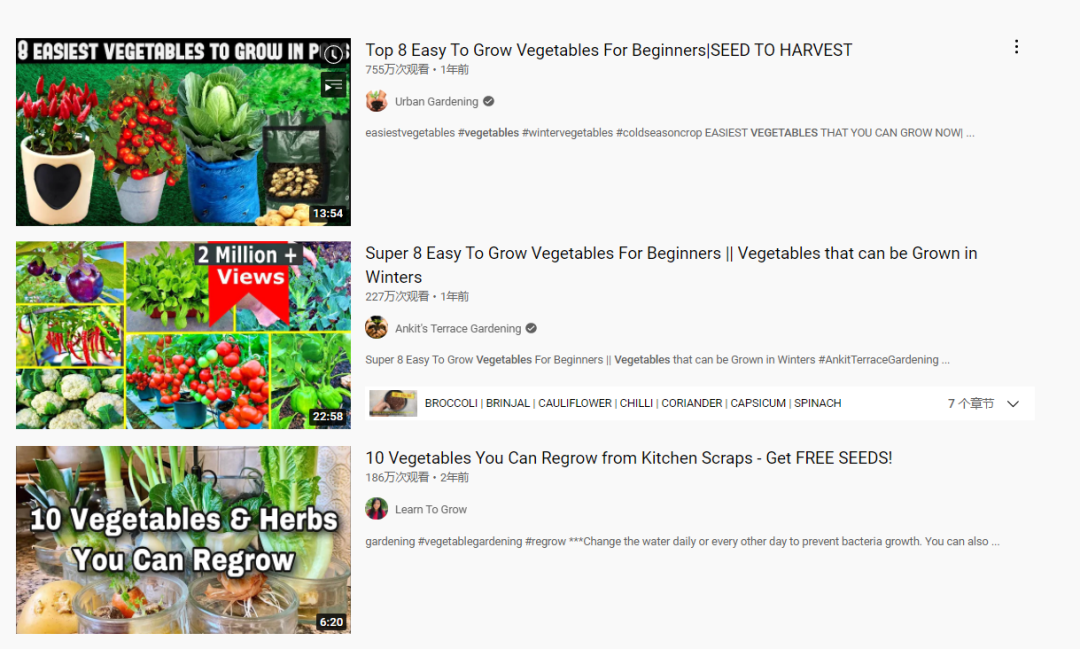 種菜神器火了！老祖宗手藝在海外“人傳人”