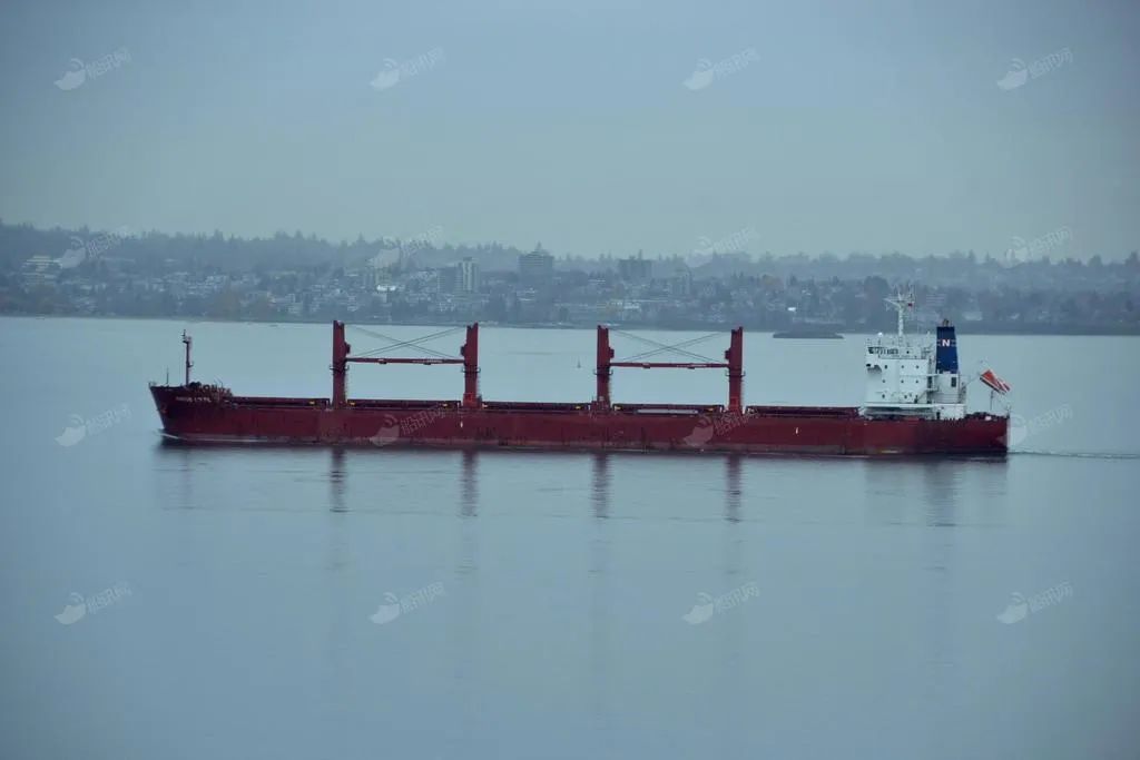 運(yùn)氣差！中國船東才買一艘船，開出去就撞船了