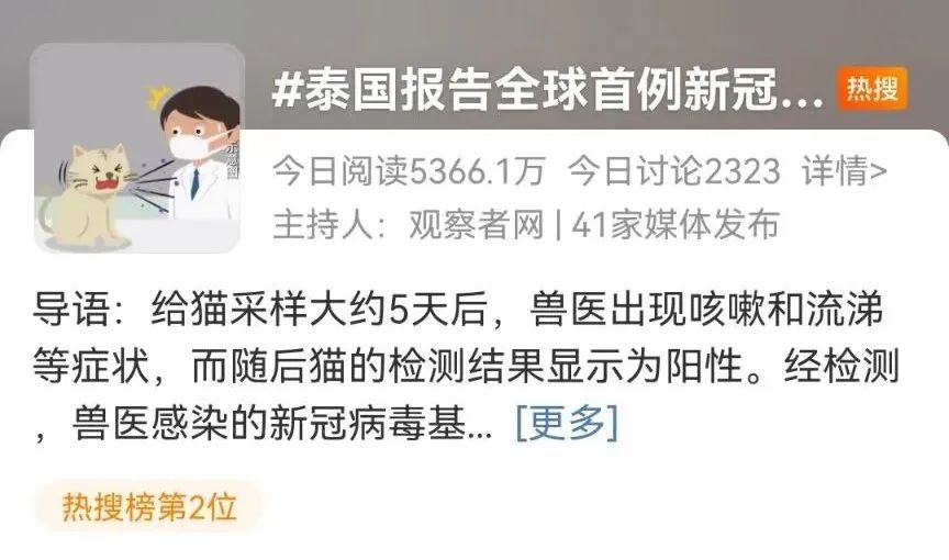麻煩了！新冠貓傳人？？美國(guó)、法國(guó)、俄羅斯、新加坡、印度、韓國(guó)最新通報(bào)??！