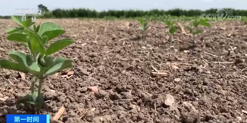 突發(fā)！這個(gè)國(guó)家宣布：多地進(jìn)入緊急狀態(tài)！