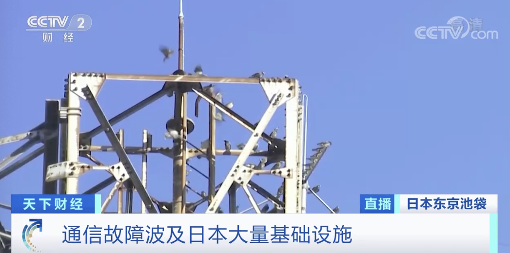 突發(fā)！該國發(fā)生大面積斷網：報警電話打不通、不能刷卡、不能取錢…數(shù)百萬人受影響