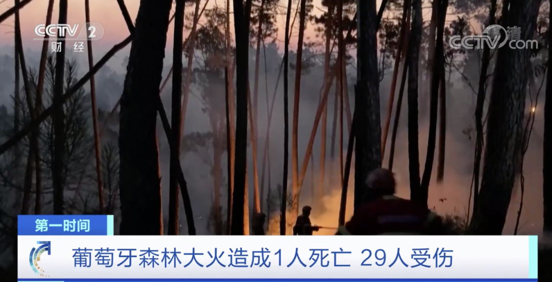 突發(fā)！這一國(guó)家宣布：多地進(jìn)入緊急狀態(tài)！