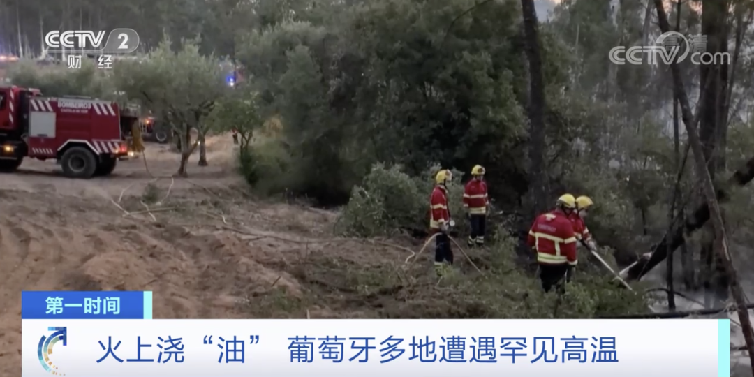 突發(fā)！這一國(guó)家宣布：多地進(jìn)入緊急狀態(tài)！