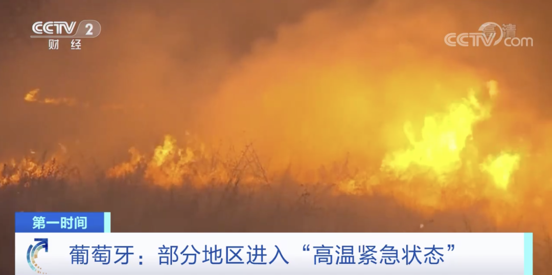 突發(fā)！這一國(guó)家宣布：多地進(jìn)入緊急狀態(tài)！