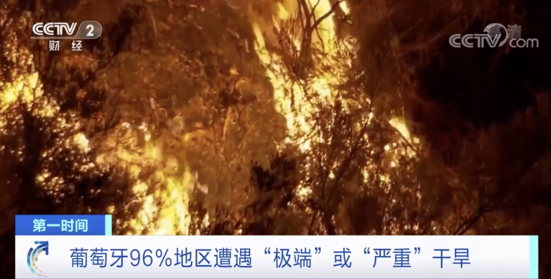 突發(fā)！這一國(guó)家宣布：多地進(jìn)入緊急狀態(tài)！