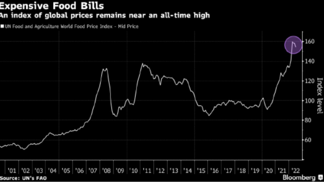 剛剛！俄烏協(xié)議達(dá)成：黑海三個(gè)港口將恢復(fù)糧食出口