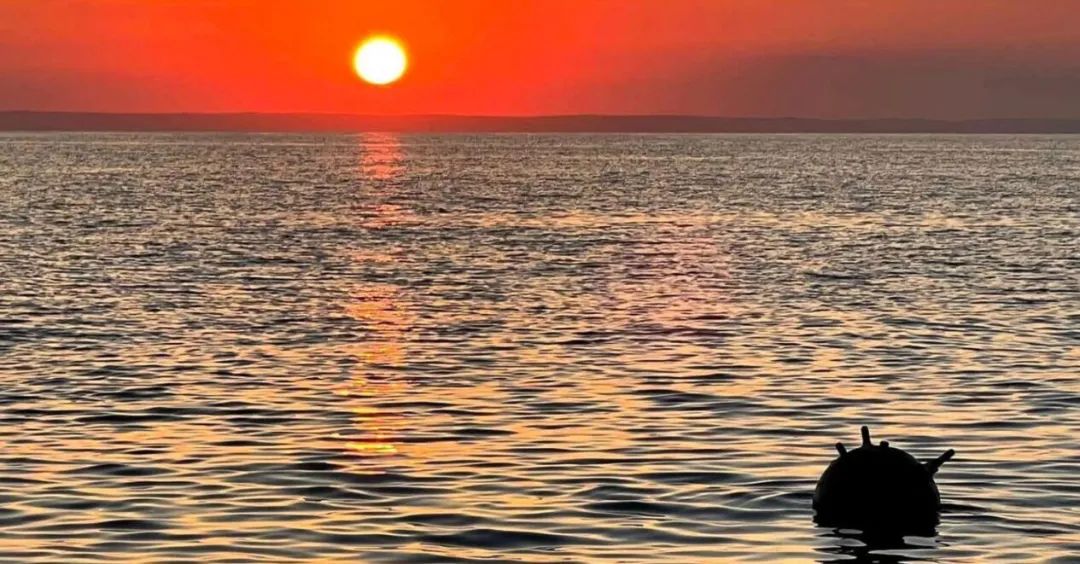 海員短缺！無人運(yùn)糧！