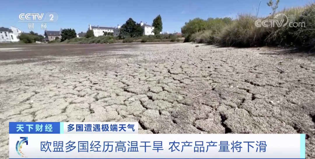 突發(fā)！國外一電商平臺(tái)公司倉庫起火致1死13傷！