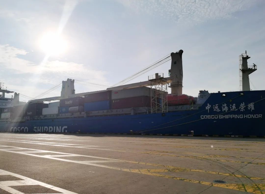 中遠海運特運造了一批“變形金剛”！集裝箱，汽車，件雜貨、紙漿統統都能運