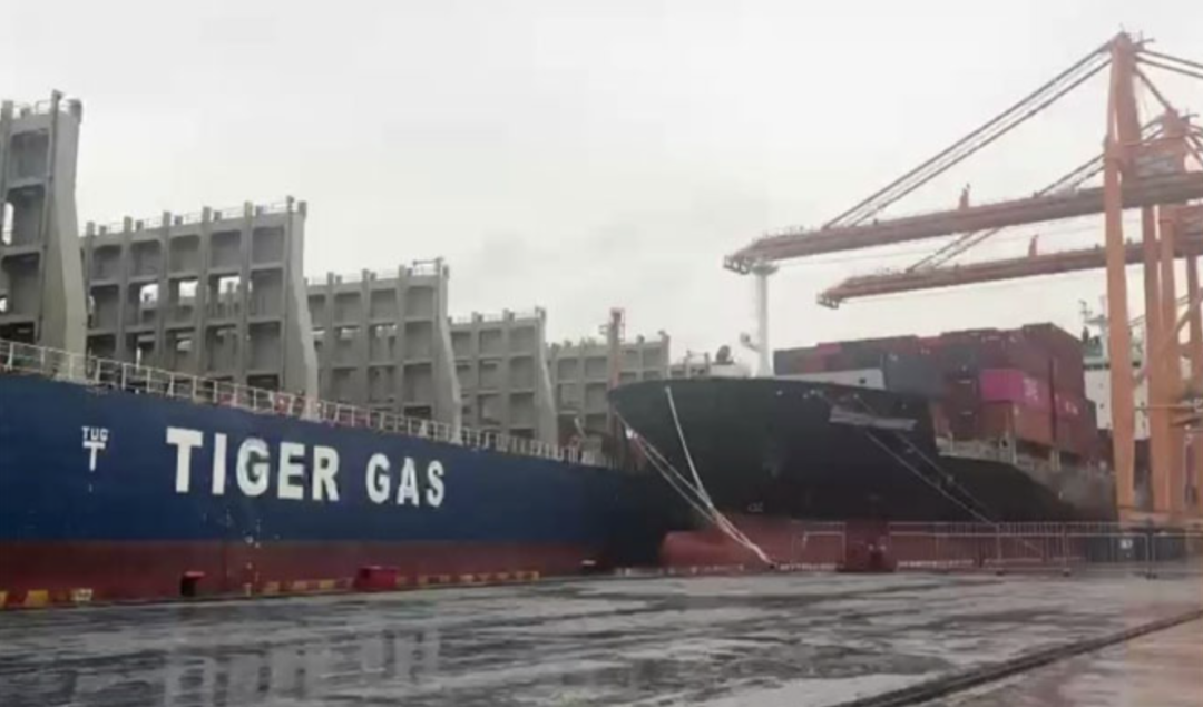 突發(fā)事故！一艘中國(guó)貨船在越南港口先撞船再撞岸吊！船舶被扣押