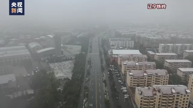 多地迎來今秋第一場雪！今年冬天會更冷？