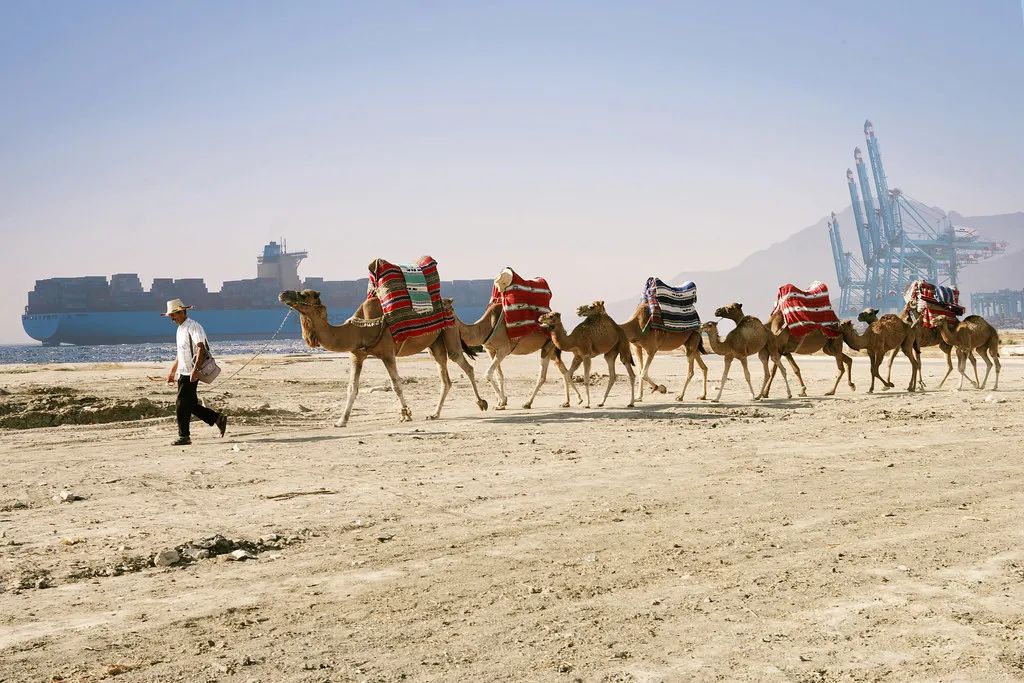 這10個碼頭，你要都見過算我輸 ！